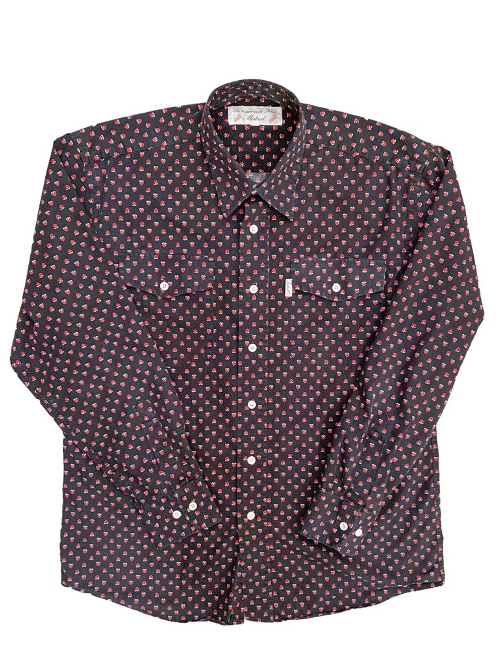MISTRAL by INDIENNES DE NIMES Mens Camargue French Western Foulard Print Shirt L